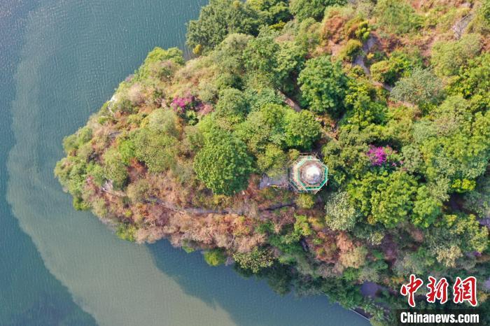 秋季象鼻山上植被黄绿交错。　王以照 摄