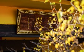 法藏禪寺.素心臘梅