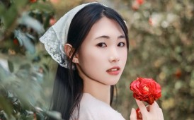 山茶花