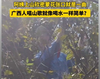 广西人唱山歌就像喝水一样简单？阿姨上山砍密蒙花张口就是一曲