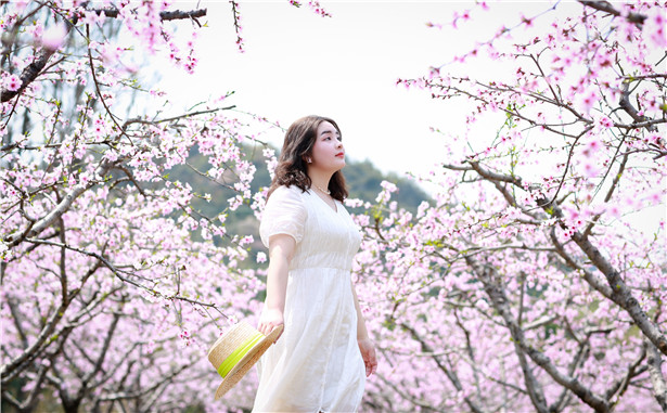 桃花开