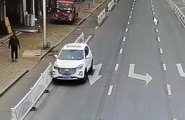 白車(chē)連撞路邊護(hù)欄，男子查看竟然是只狗在駕駛