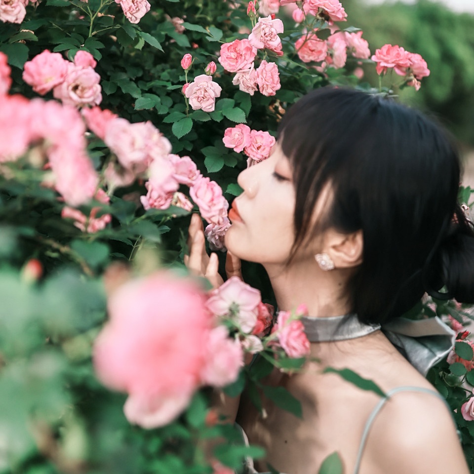 花开半夏，蔷薇满墙。