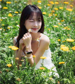 阳朔摄影家协会活动小记