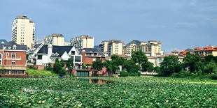 鲁湖风光