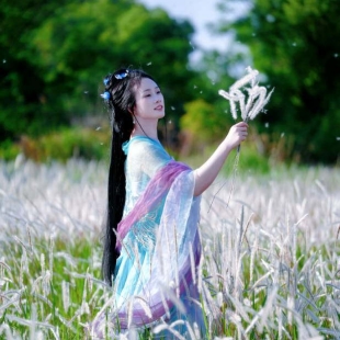 桂林大河坊白毛草太美了