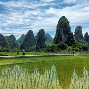 梦中乡村景象