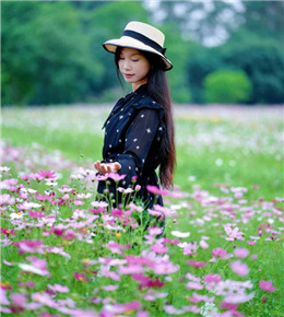 灵川桃花岩格桑花海