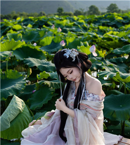 琴潭荷韵～