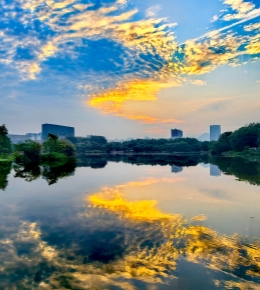孟夏朝霞美 余闲亦陶醉