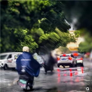 雨中即景（手机片）