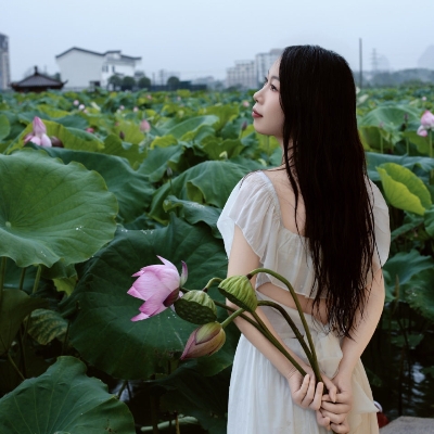 雨中荷韵～