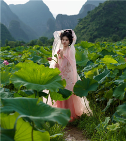并蒂莲花开，好运莲莲……