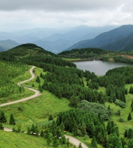 桂林阿勒泰