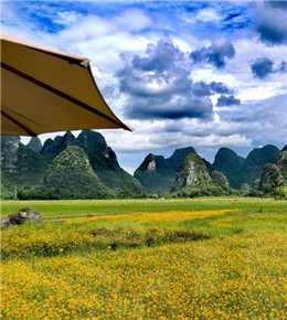 暮夏桂林旷野随拍，发现浪漫花海