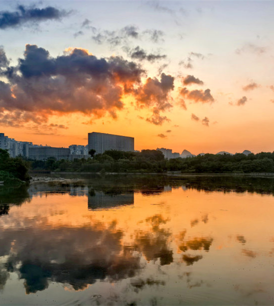 暮夏晓霁