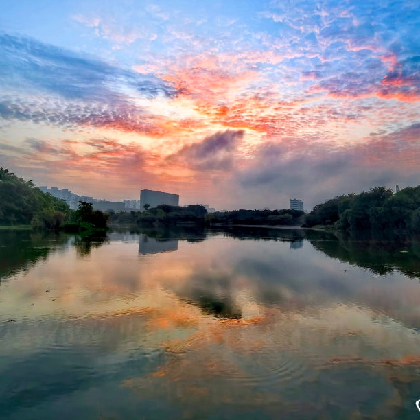 丙午夏末晓霞美