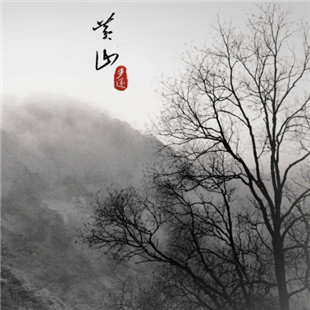 品茶时间