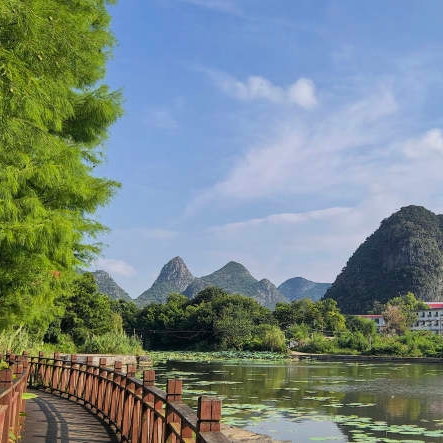 闲看峰影入湖光（手机片）