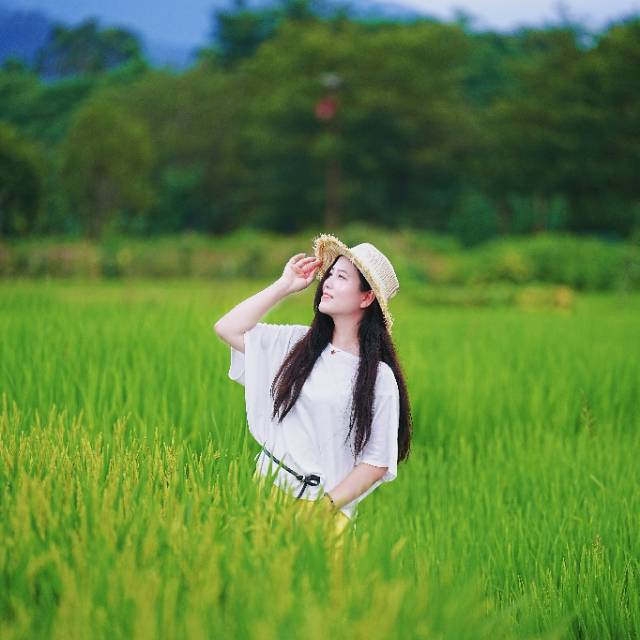 桂林灌阳神农稻博园