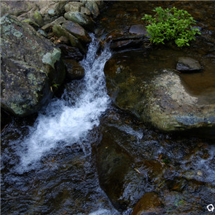 小溪水潺潺而流