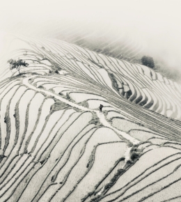 黑白片慢品