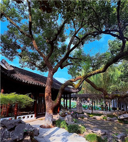 杭州墅园的美景