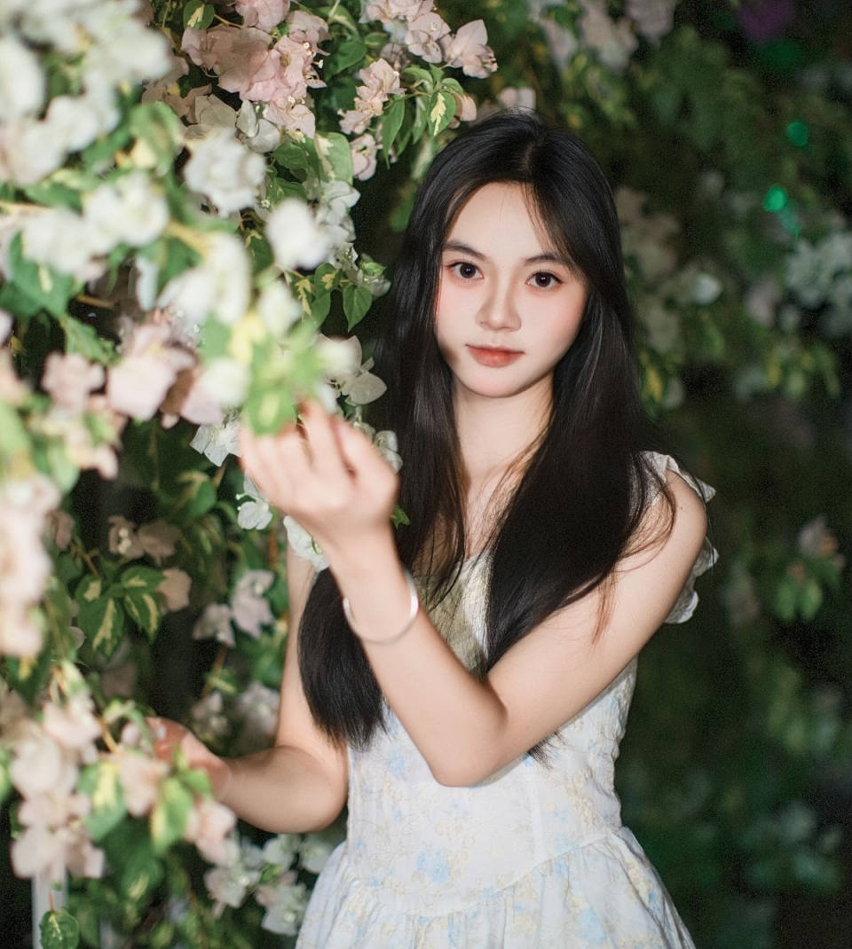 与三角梅，共赴夜色