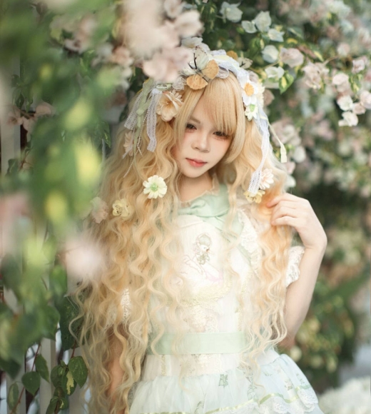 一墙繁花，花开无意