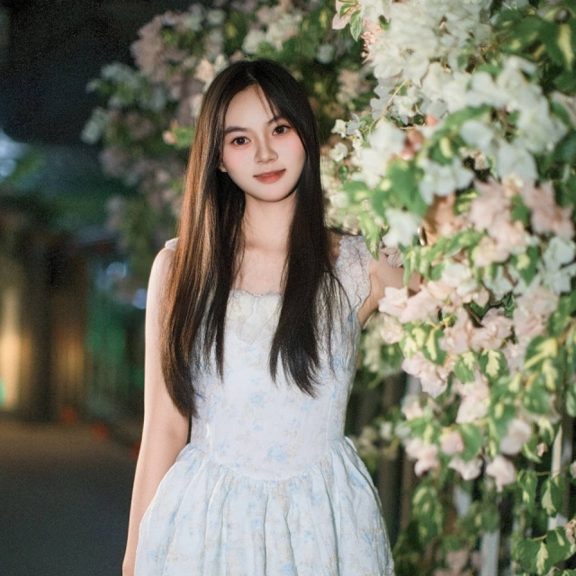 与三角梅，共赴夜色