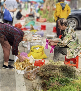 中药街闲逛（手机片）