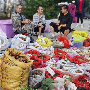 中药街闲逛（手机片）