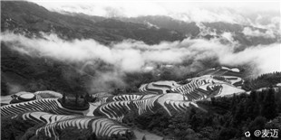 龙脊骨相