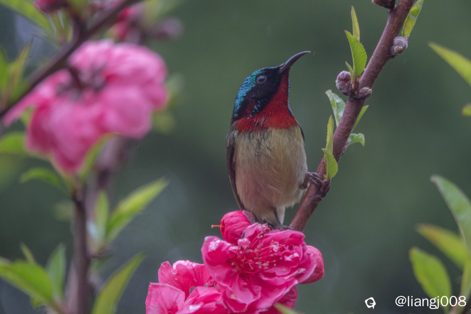 DSC07496_副本.jpg