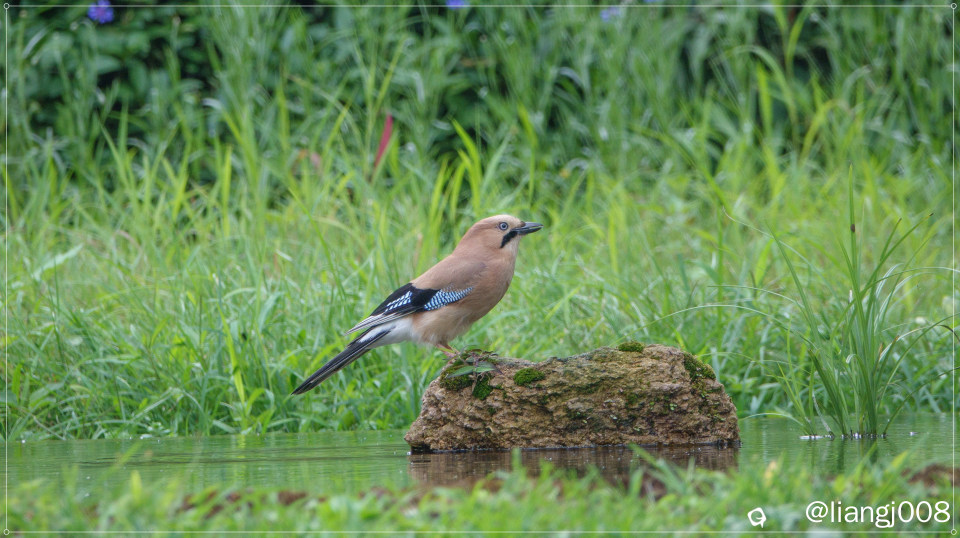 DSC07653_副本_副本.jpg