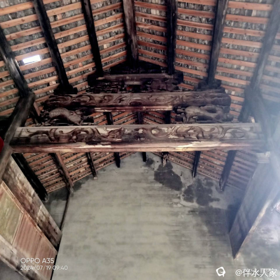 IMG20240719094029.jpg