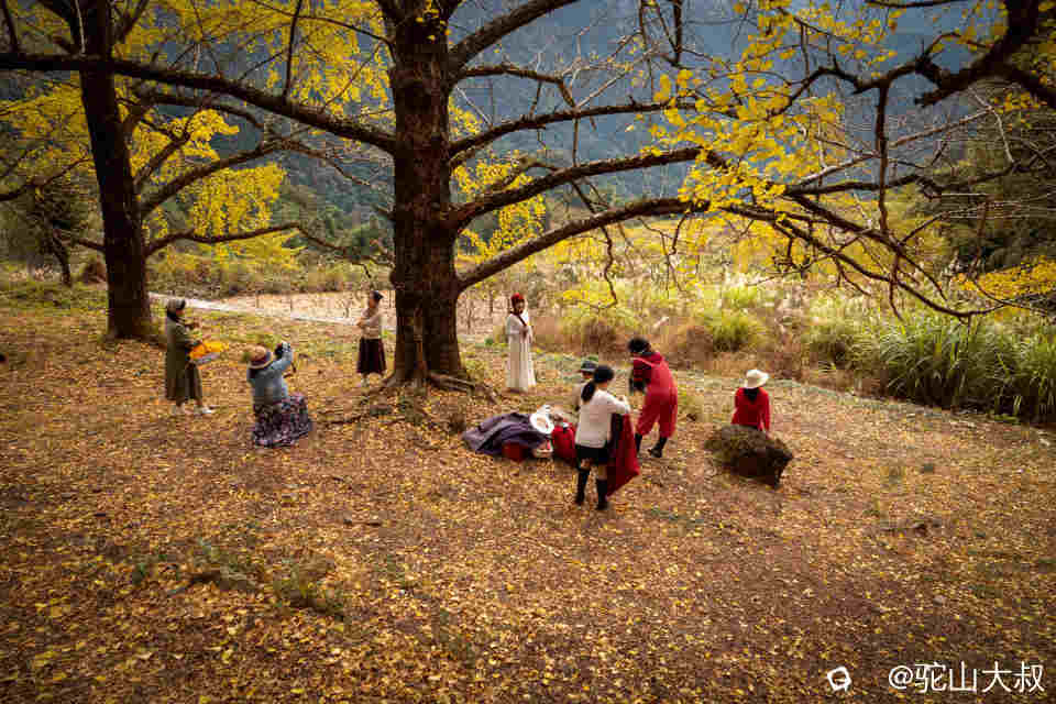 DSC04404-1 - 副本.jpg