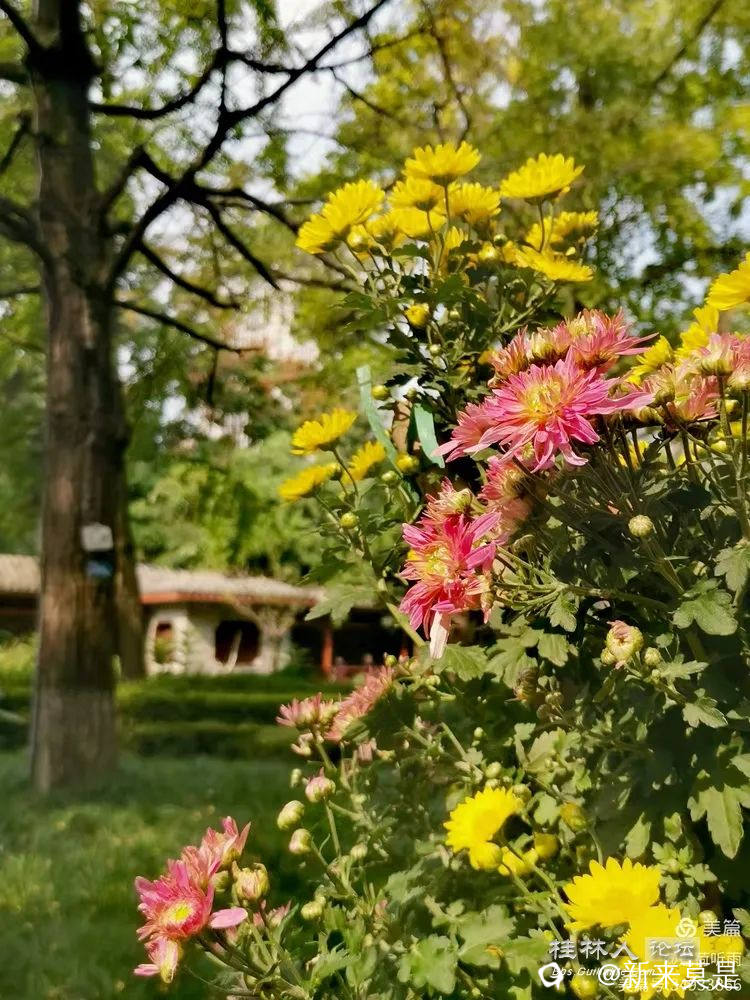 I2ZmZmZmZg_750_0_0_0_q80.webp (5).jpg