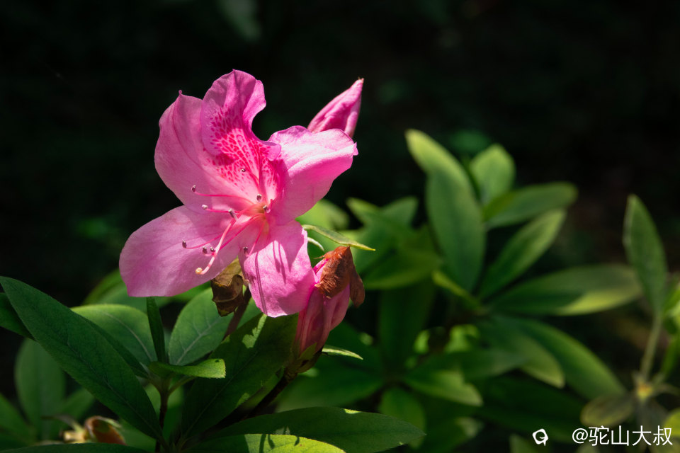 DSC01450-0 - 副本.jpg