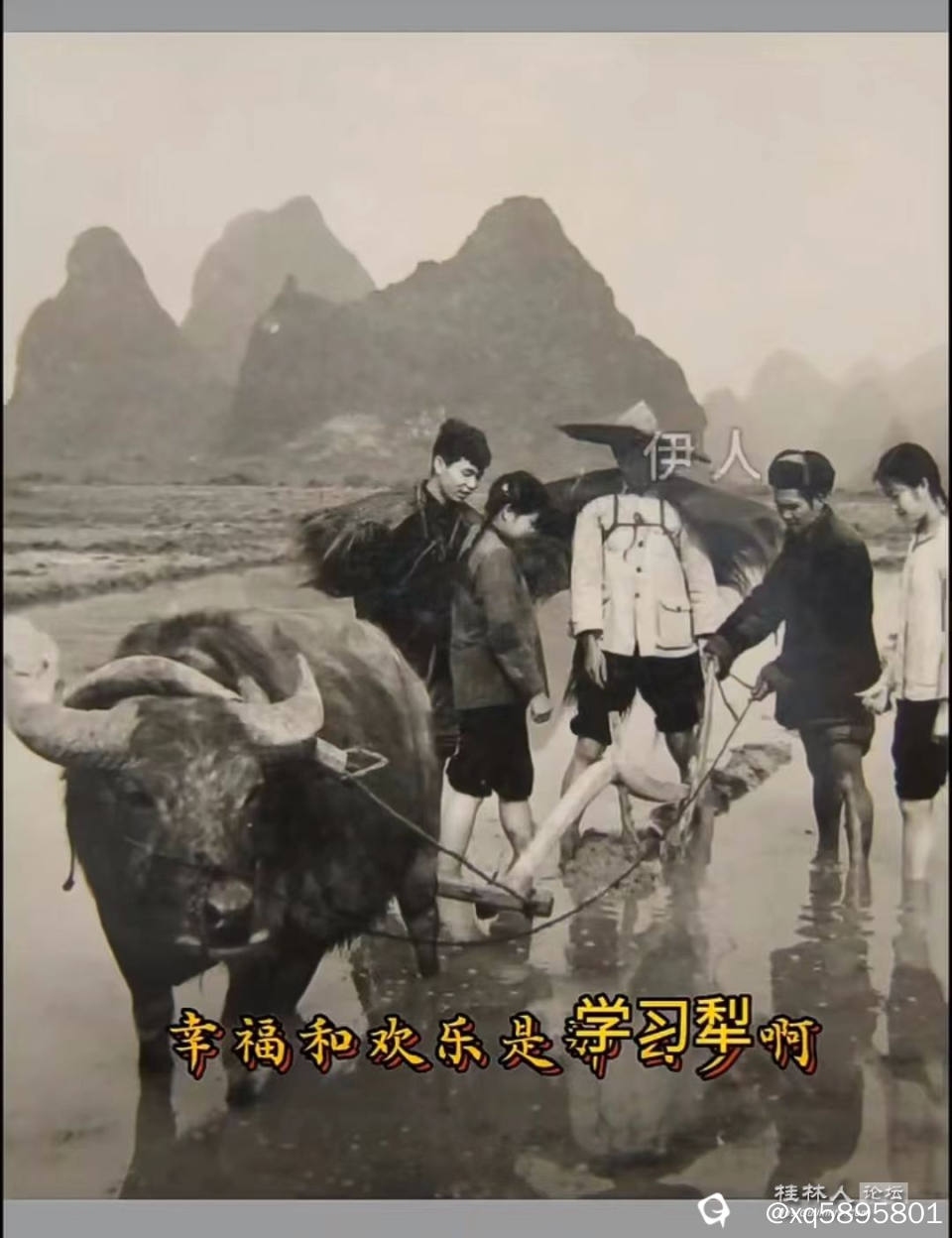 学习犁田