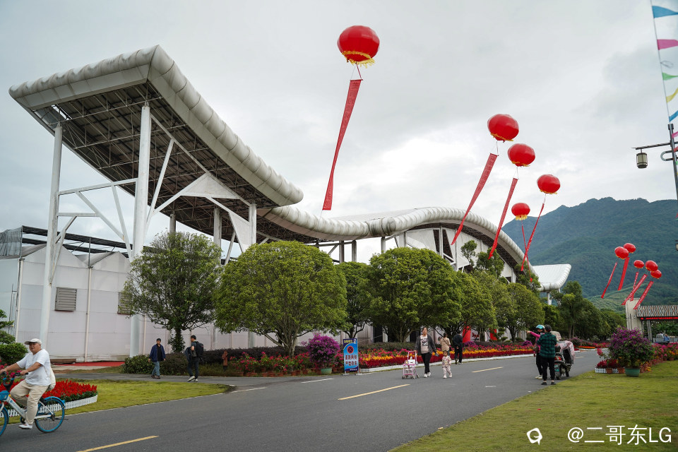 南方第三届花卉苗木交易会 (2).jpg