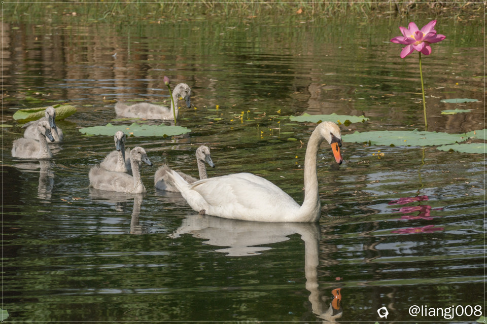 DSC00892_副本_副本.jpg