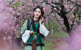 桃之夭夭，灼灼其华