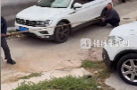 第一次见这么拔河的！接亲现场拔河比赛，娘家人牵出&ldquo;霸王龙&rdquo;镇场子！新娘：看出来了，是真舍不得我嫁过去