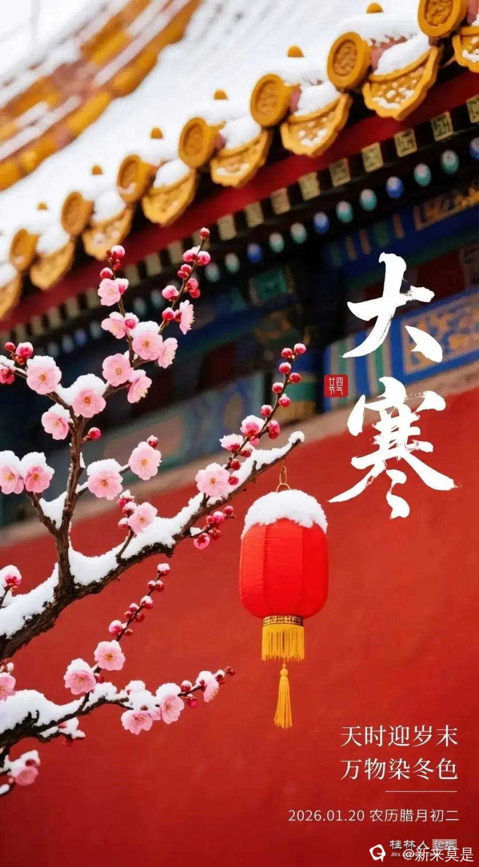 4c689ea116b14954a7ce780b0c45e047_看图王.jpg