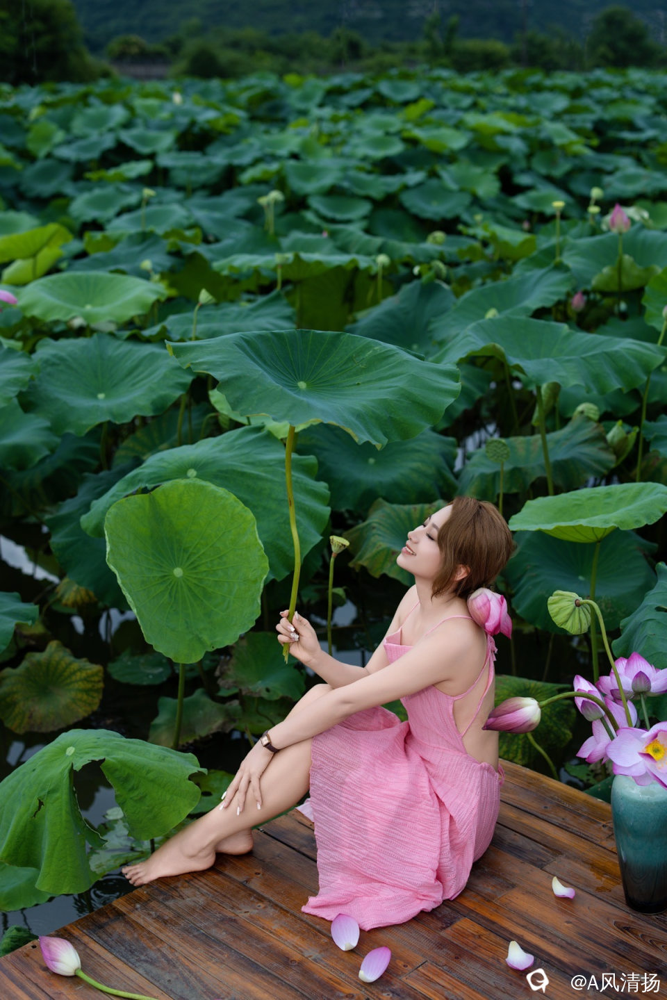 92d8980e-63a3-94bd-0bb8-27467b0dc3f4.jpg