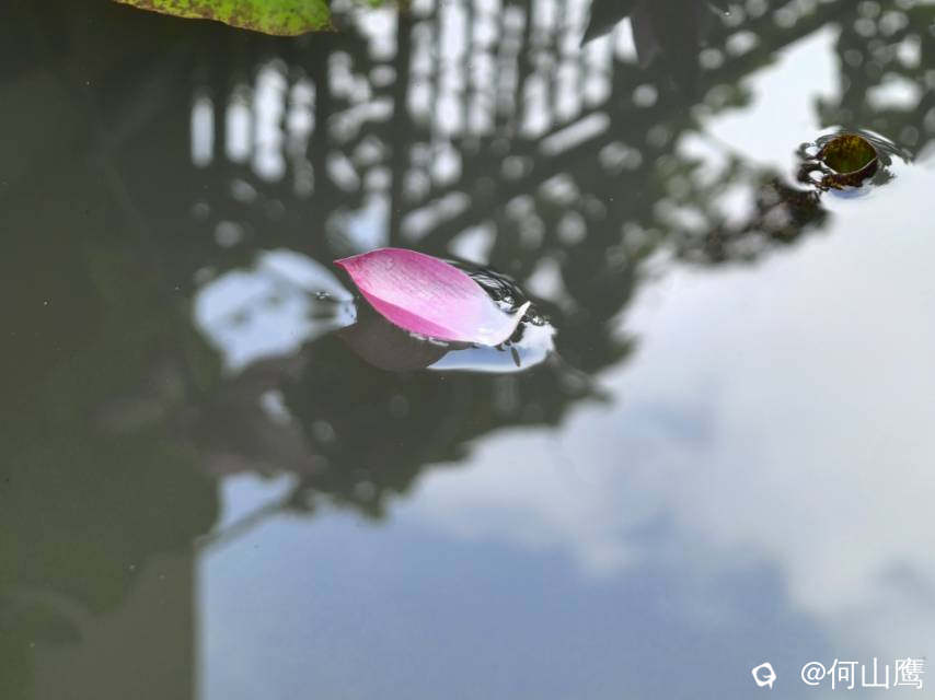 d9440574-cfdd-2ad9-af09-e90ef18b07e3.jpg