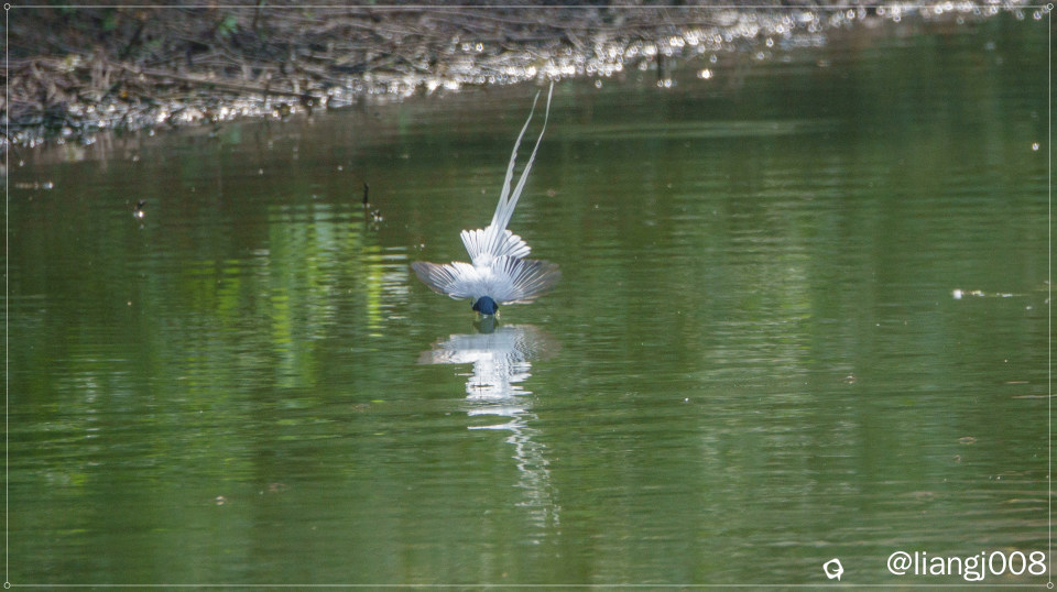 DSC07304_副本_副本.jpg