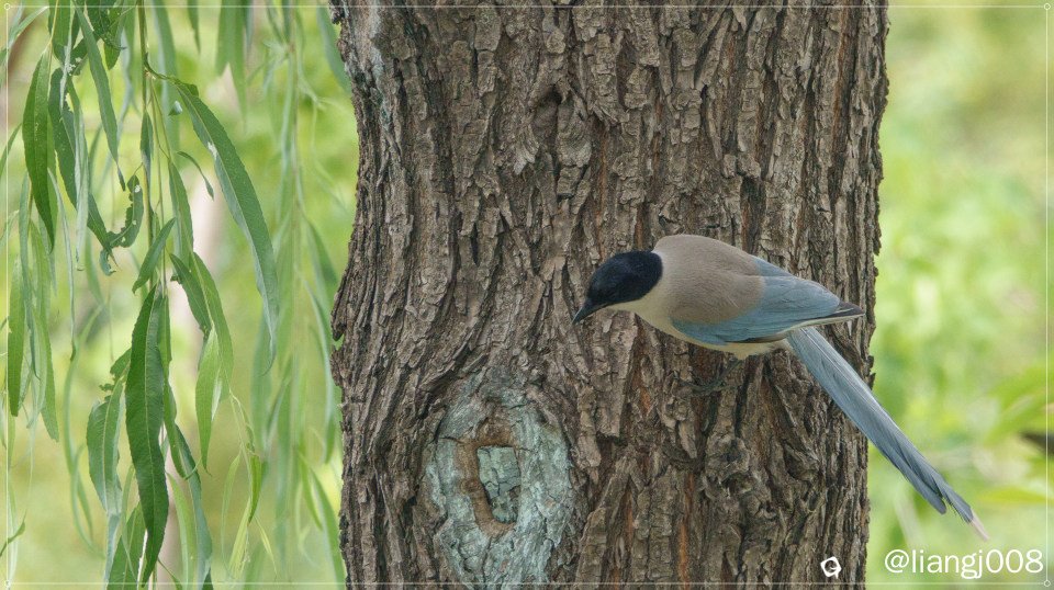 DSC06261_副本_副本.jpg