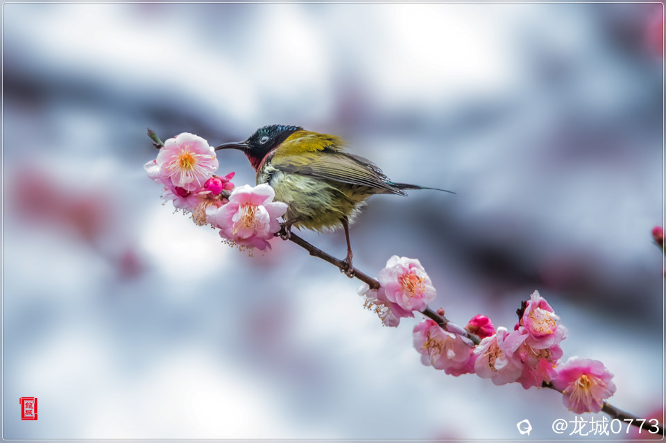 BG9I0836_副本.jpg